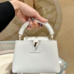 شنطة لويس فيتون